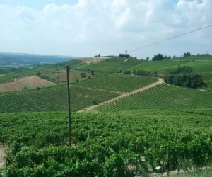 Il programma dettagliato del prossimo Raduno : Alpi Marittime, Langhe e Monferrato